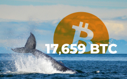 Whales Move 17,659 BTC Between Coinbase, Binance and Anon BTC Wallets